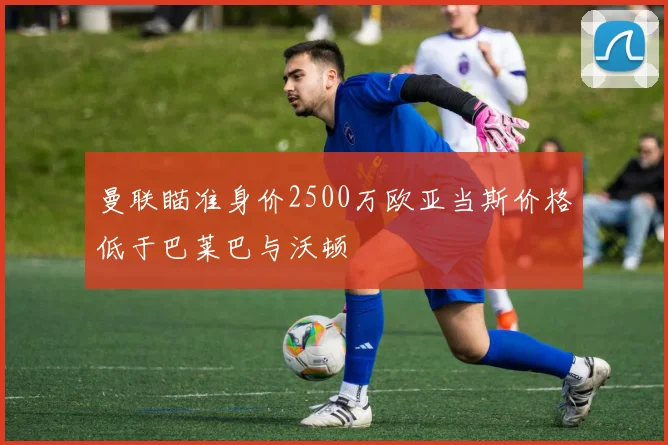 曼联瞄准身价2500万欧亚当斯价格低于巴莱巴与沃顿