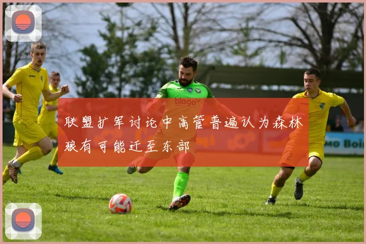 联盟扩军讨论中高管普遍认为森林狼有可能迁至东部