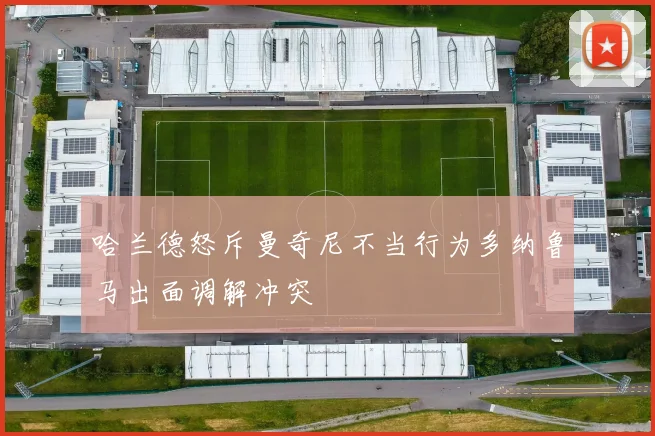 哈兰德怒斥曼奇尼不当行为多纳鲁马出面调解冲突