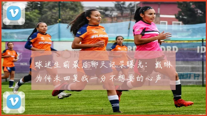 球迷生前最后聊天记录曝光：戴琳为何未回复我一分不想要的心声