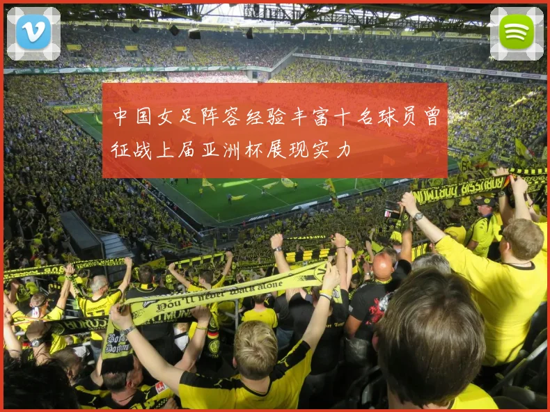 中国女足阵容经验丰富十名球员曾征战上届亚洲杯展现实力