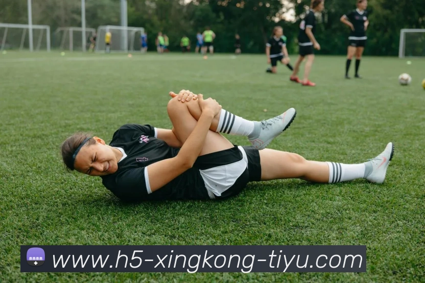 多媒体互动体验