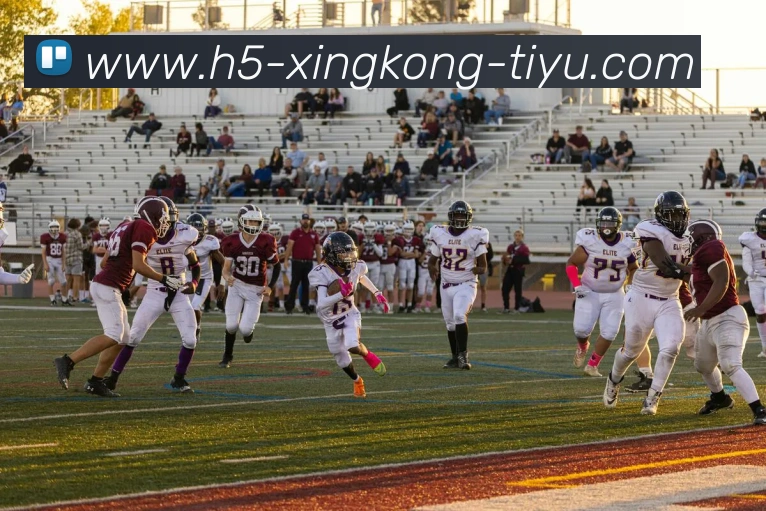 星空体育APP 高清赛事图