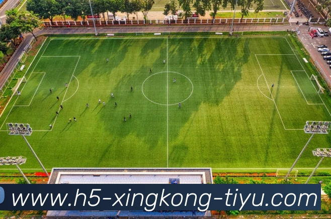 数据防护可视化